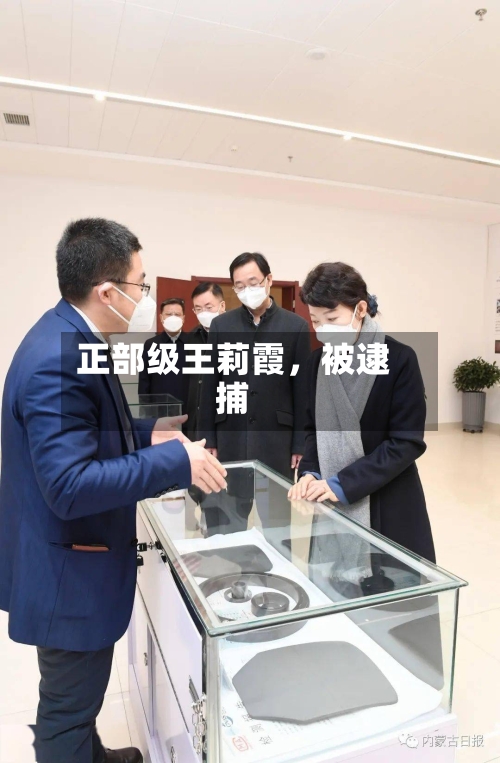 正部级王莉霞	，被逮捕-第3张图片