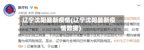 辽宁沈阳最新疫情(辽宁沈阳最新疫情数据)-第2张图片