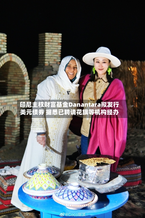 印尼主权财富基金Danantara拟发行美元债券 据悉已聘请花旗等机构经办-第2张图片