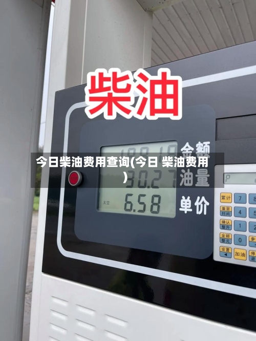 今日柴油费用查询(今日 柴油费用)