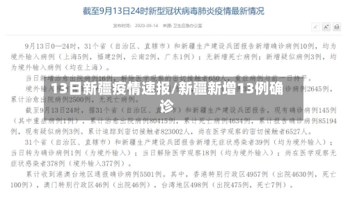 13日新疆疫情速报/新疆新增13例确诊