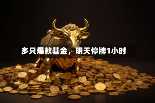 多只爆款基金，明天停牌1小时
