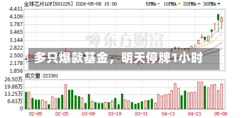 多只爆款基金，明天停牌1小时-第2张图片