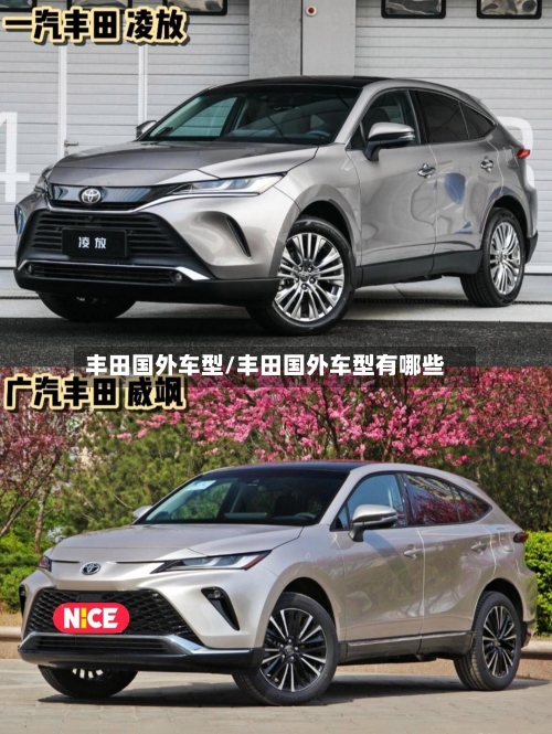 丰田国外车型/丰田国外车型有哪些